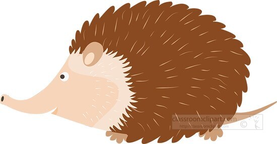 cute cartoon style hedgehog animal side view clipart image