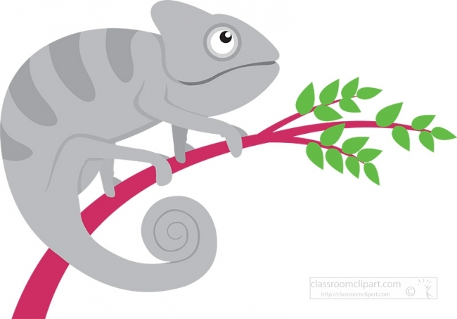 cute green chameleon reptile clip art illustration gray color