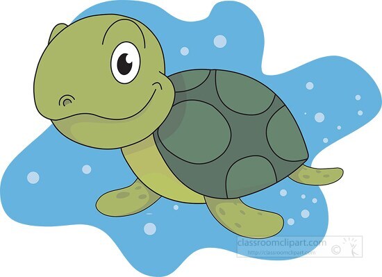 cute little turtle