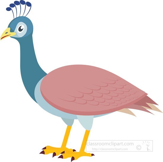 cute peahen bird clipart