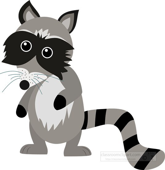 cute raccoon with large eyes big fluffy tail clipart