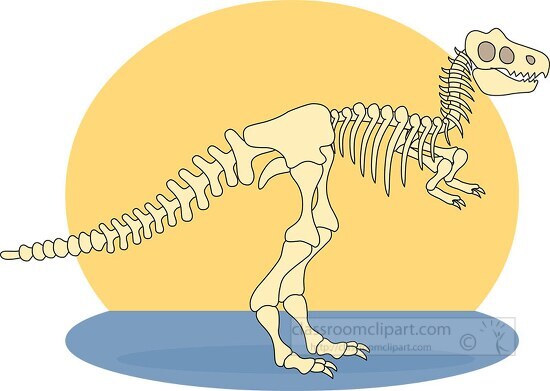 dinosaur anatomy skeleton clipart