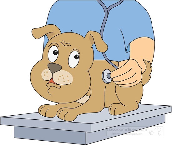 dog at the vetinarian clipart