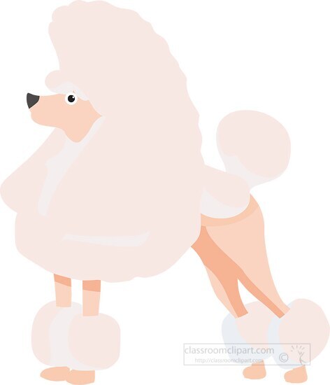 dog poodle breed clipart