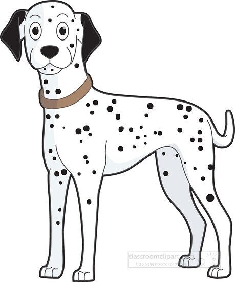 dogs dalmation breed clipart