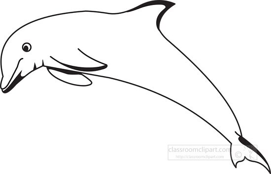 dolphin outline