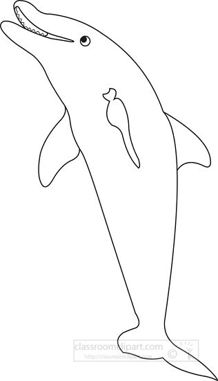 dolphin outline black