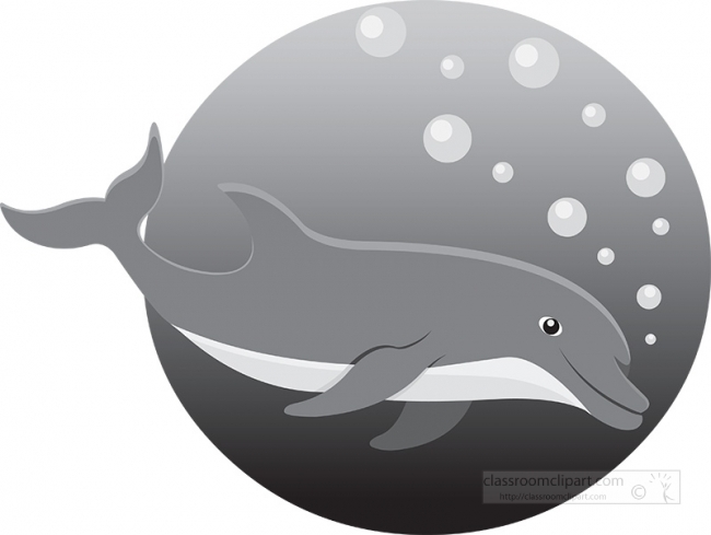 dolphin swimming in ocean gray color
