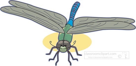 dragonflies green darner dragonfly clipart