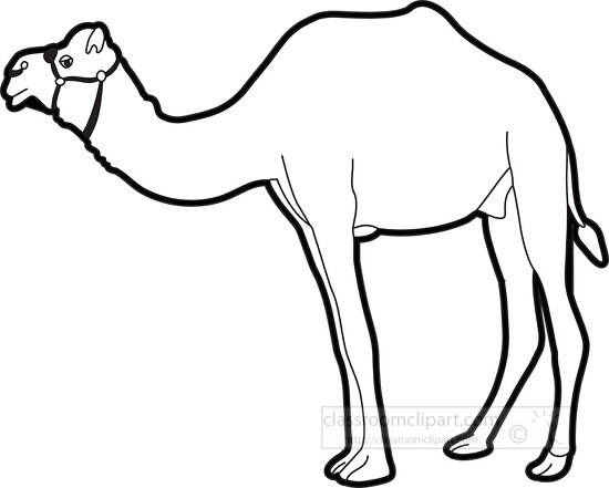 dromedary camel black white outline clipart