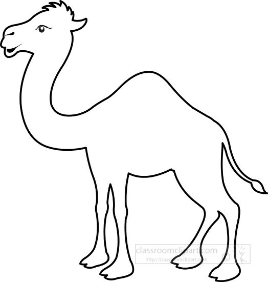 dromedary camel ouitline clipart