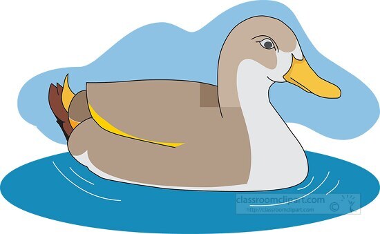 Duck Swimming in Pond Clipart