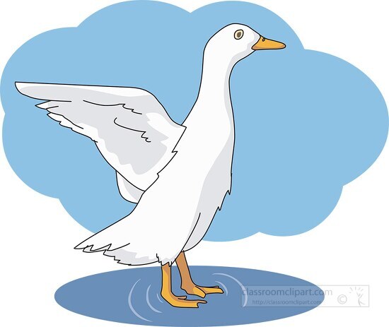 ducks flapping wings clipart