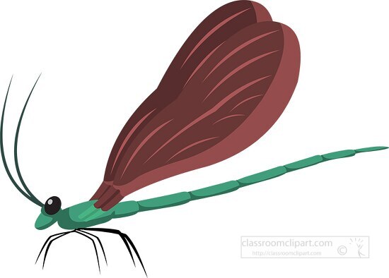 ebony jewelwing insect clipart