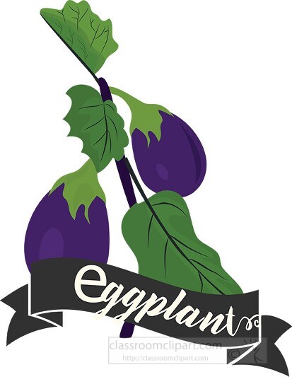 eggplant plant with two hanging eggplant and leaves clipart