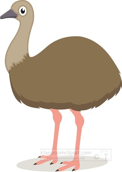 emu bird clipart