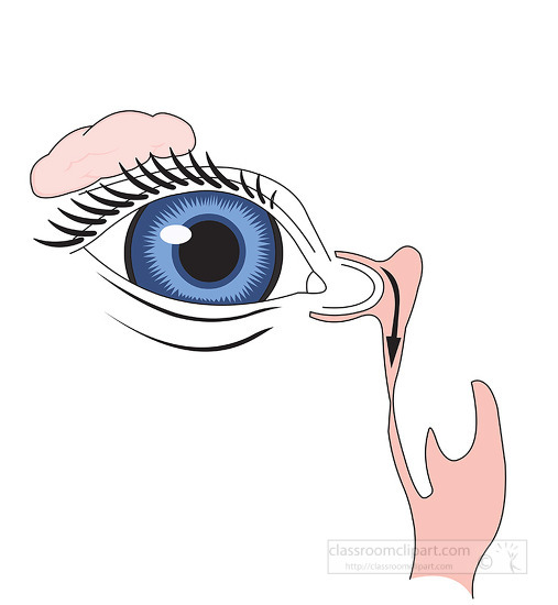 eye with tear duct clipart