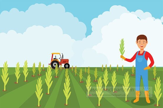famer in the field looking at crops clipart
