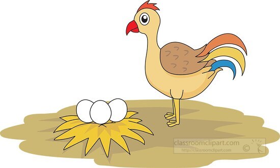 farm  animal chicken 952