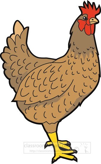 farm chicken clipart