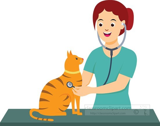female veterinarian checking cat clipart