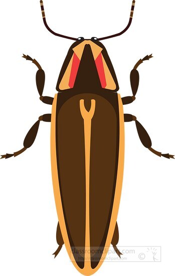 firefly insect clipart