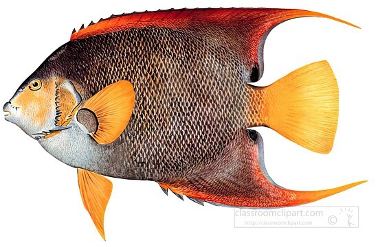 fish isolated on white background 3154-gigapixel-art-scale-4_00x