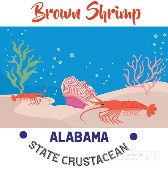 florida state crustacean brown shrimp vector clipart