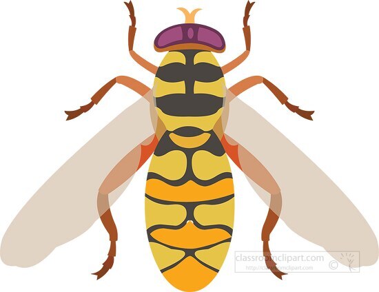 flower fly insect clipart