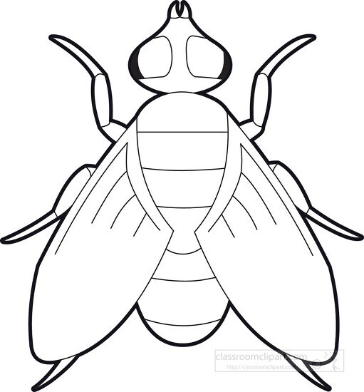 Insect Clipart-fly big eyes insect black outline clipart