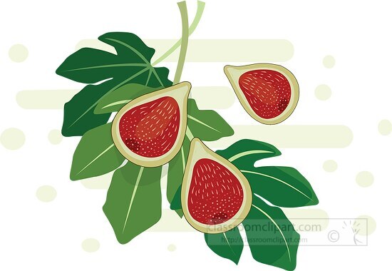 fresh figs cross section with leaves