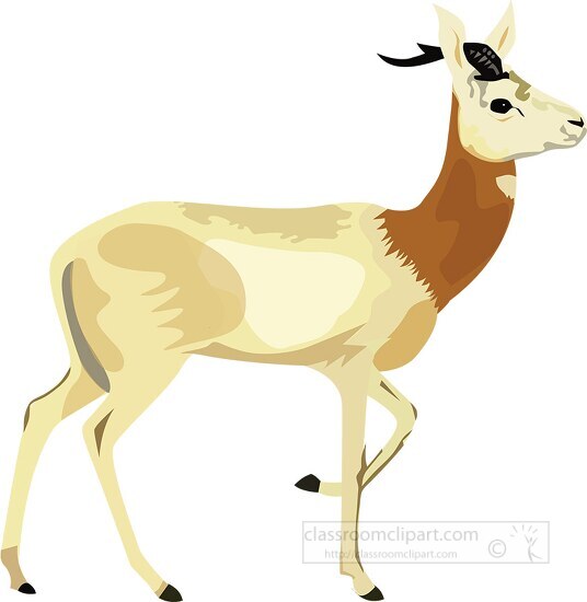 gazelle antelope clipart
