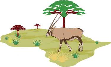 gemsbok antelope in african land africa clipart