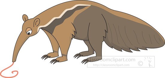 giant anteater eating clipart 1161