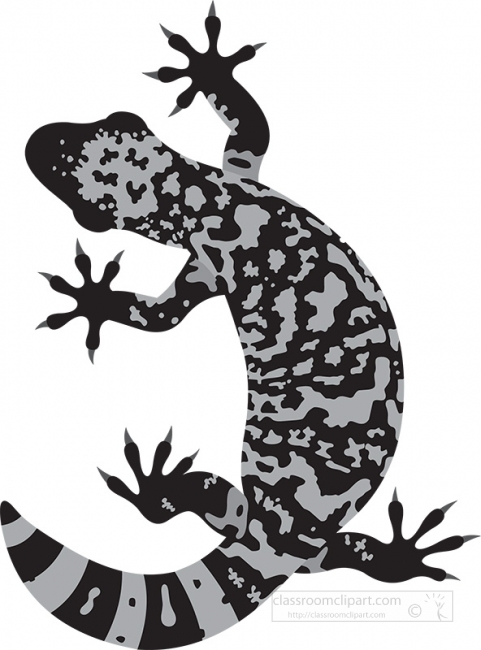 gila monster venomous lizard reptile educational clip art graphi