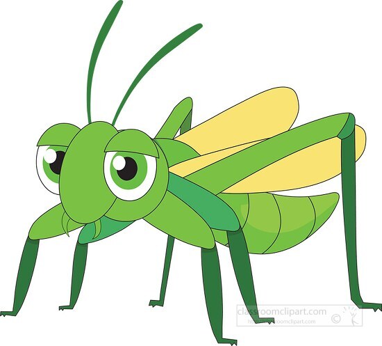 Grasshopper Insect cartoon style Clipart