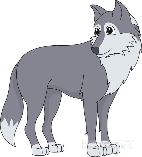 gray wolf standing clipart 58122