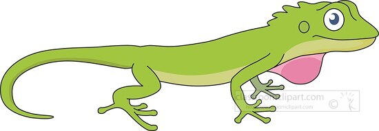 green anole reptile