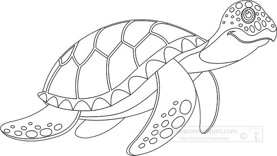 green sea turtle marine animal black white outline clipart 718