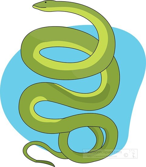 green snake coiled clipart