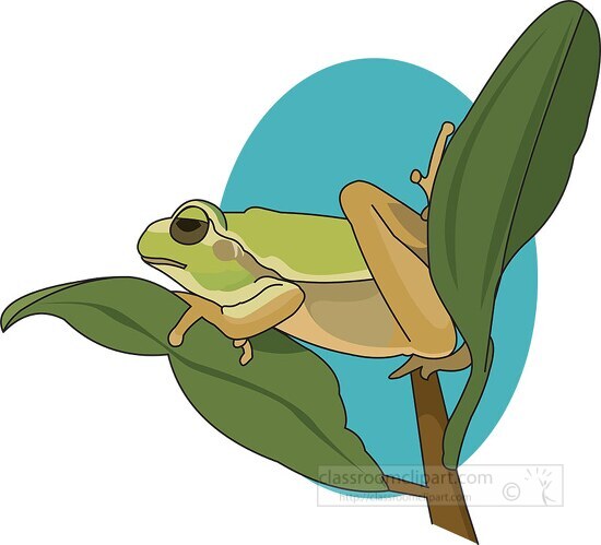 green tree frog resting on plant leaf clipart