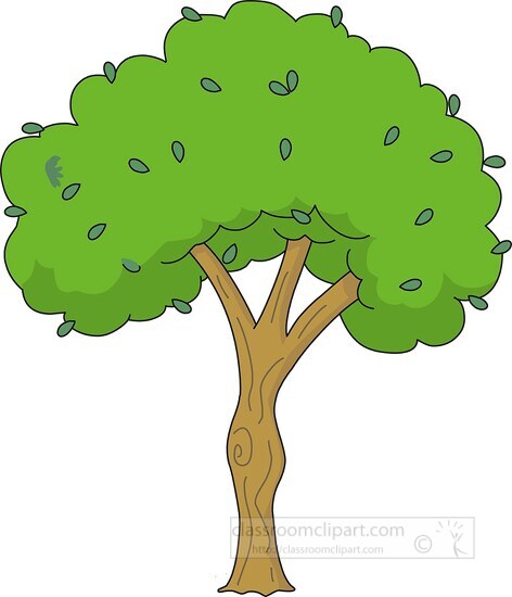 green tree with leaves clipart