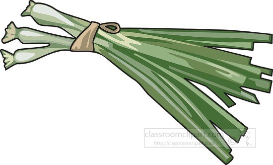 green-onions-108 clipart