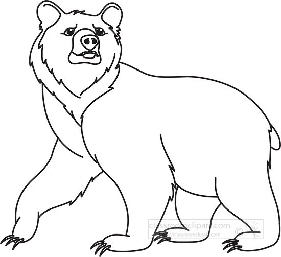 grizzly bear black white outline clipart