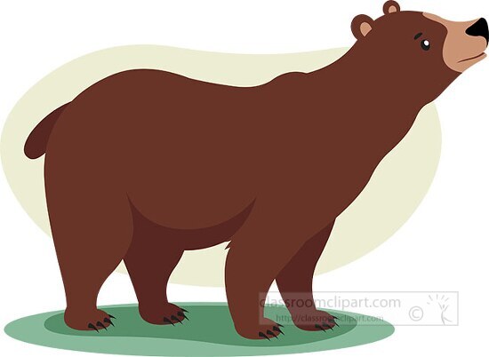 grizzly bear looking for food clipart