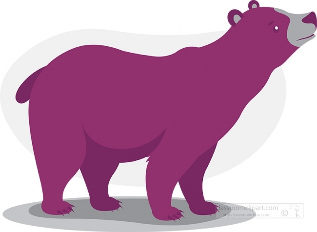 Animal Gray White Clipart-grizzly bear looking for food gray color