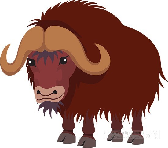 hairy musk ox clipart