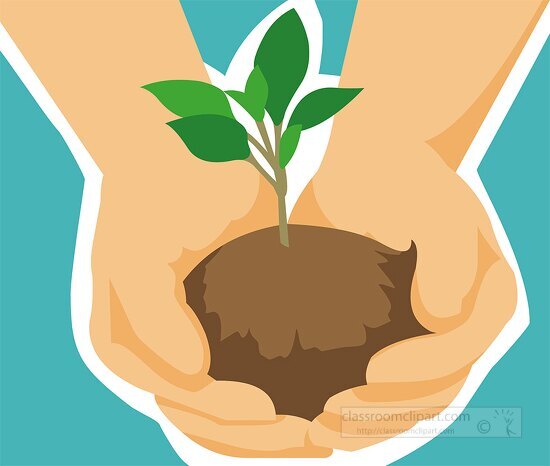 hands holding plant seedling earth day clipart 20189