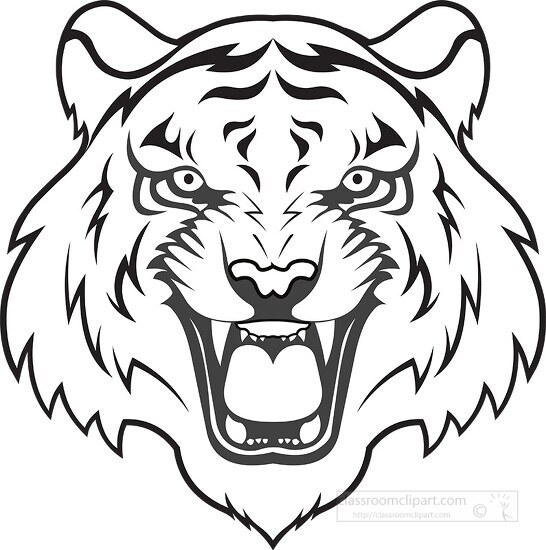 head of tiger shows open mouth with teeth black outline white fi