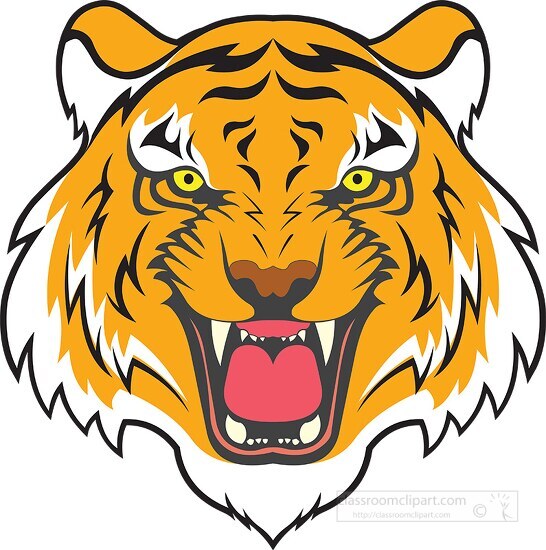head of tiger shows open mouth with teeth clipart